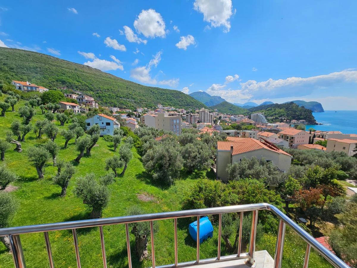 Medin Apartments Bluvista Petrovac Bagian luar foto