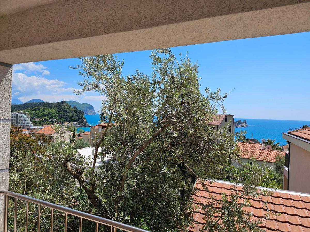 Medin Apartments Bluvista Petrovac Bagian luar foto