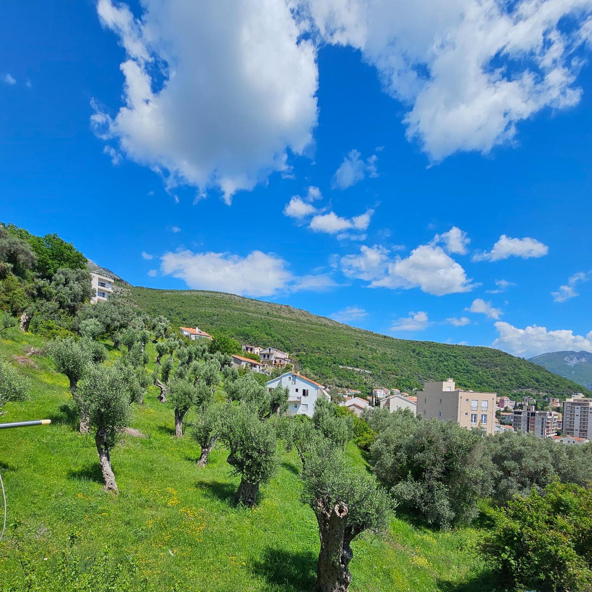 Medin Apartments Bluvista Petrovac Bagian luar foto