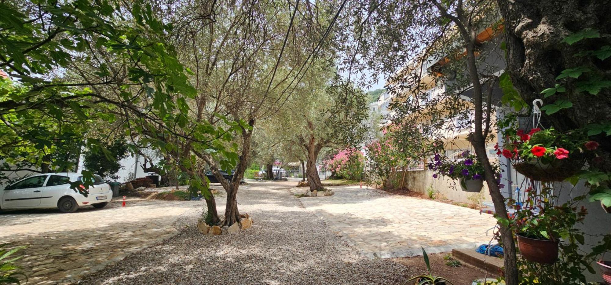 Medin Apartments Bluvista Petrovac Bagian luar foto